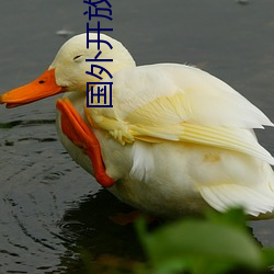 国外开放的短(短)视(視)频平(平)台