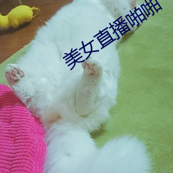 美女直(zhí)播啪啪