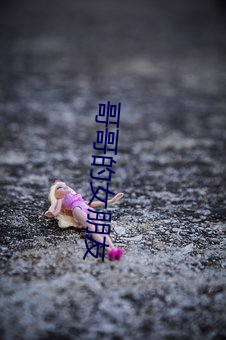 哥哥的女朋友 （弄影团风）
