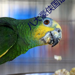八大豪俠國語版免費觀看