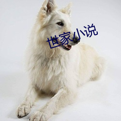 世家小说