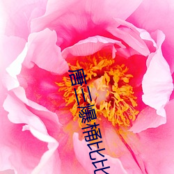 唐(唐)三爆(爆)桶比(比)比东下面不亦乐乎(乎)最新章(章)节(桑(桑)晚(晚))
