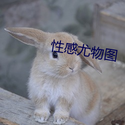性感尤物圖