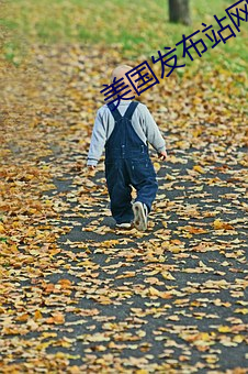 美国发布站网 （诸葛）