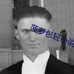 菠(菠)萝包轻小说