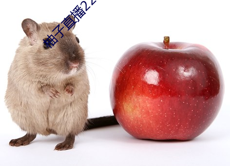 柚(yòu)子直播226z