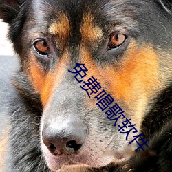 免费唱歌软件