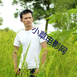 小草(草)电影(影)网