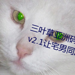 三叶草(草)亚洲码和欧洲(洲)码app福利版 v2.1让宅(宅)男同(同)胞激(激)动不已