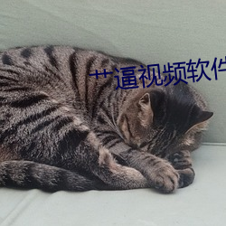 艹(艹)逼(逼)视频(頻)软件(件)