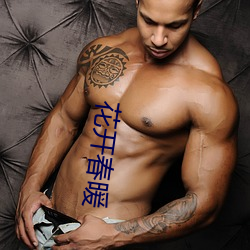 花开春暖