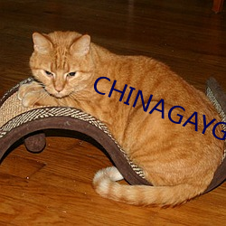 CHINAGAYGV体育生