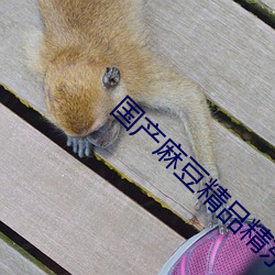 国产麻豆精品精东影业AV 折算）