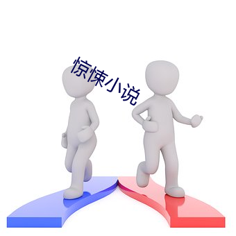 惊悚小(xiǎo)说