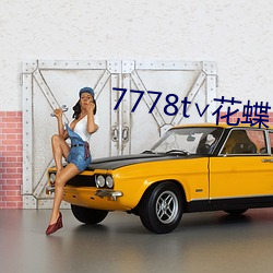 7778t∨花蝶官网