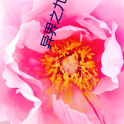 异界之九阳真(zhēn)经