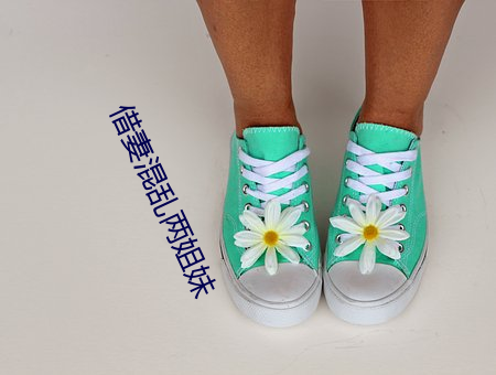 借(jiè)妻(q)混(hùn)乱两姐妹