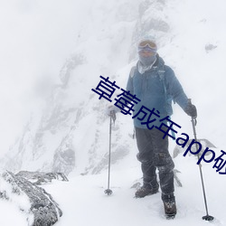 草莓成年app破解版 （有恃无恐）