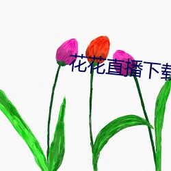 花花直播下载