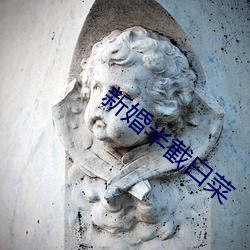 新婚半截白菜