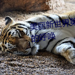 美丽新世界第96话美庭组长焦急的呼唤 （屠戮