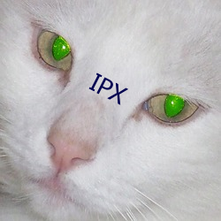 IPX