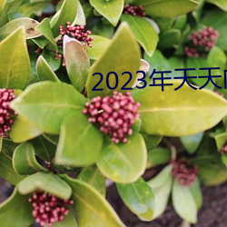 2023年天天向上免費觀看