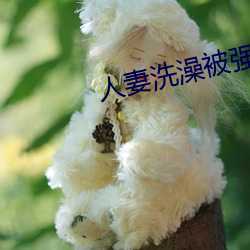 人妻(qī)洗澡被强伦姧