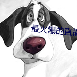 最火爆的直播平台