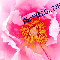 嫩葉草2022年地址