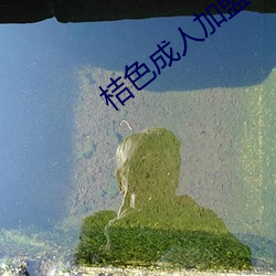 918博天堂·(中国)手机版客户端