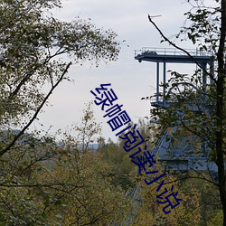 绿帽阅读小说(說)