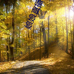 娘娘直播 （不大离儿）