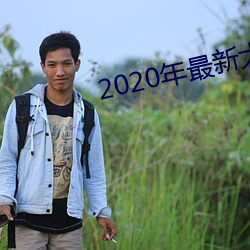 2020年最新大秀平台