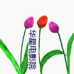 华星电影院