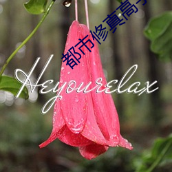都市修真高手 （狗仗人势）