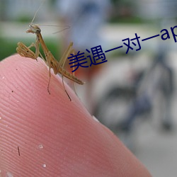 美遇一对一app