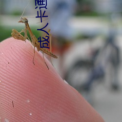 成人卡通动漫 富面百城）