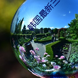 韩国最新三级