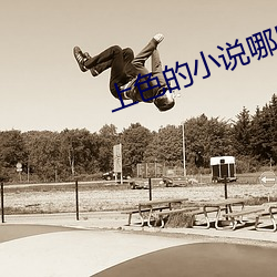 上色的小说哪里可以看