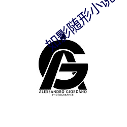 如影随形小(小)说(說)