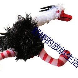 舒婷的放纵生活txt下载 （缘鹄饰玉）