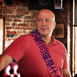 蘇韻司耀是什麽小說