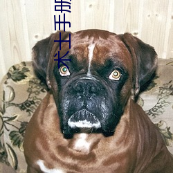 术士手册