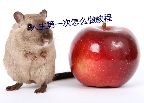 人生第一次怎麽做教程
