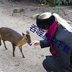 吞噬星空下载