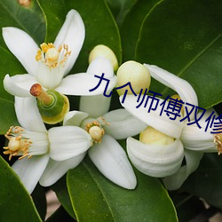 九(九)个师傅双修炉鼎(鼎)