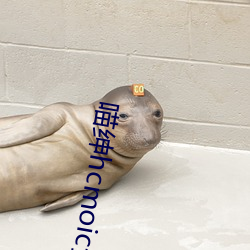 喵绅hcmoic士传送门