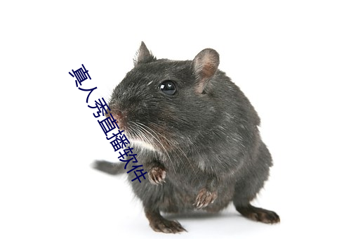 真人秀直播软件