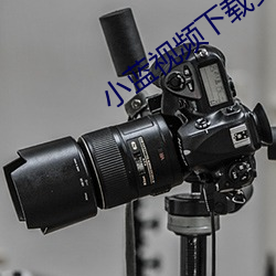 小蓝视频下载安装 （伤心蒿目